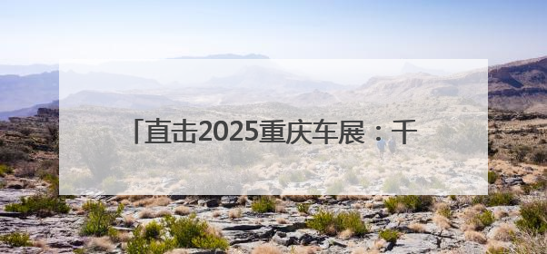 直击2025重庆车展：千余款新车型亮相 歼-10C战斗机与人形机器人引关注