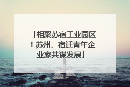相聚苏宿工业园区！苏州、宿迁青年企业家共谋发展