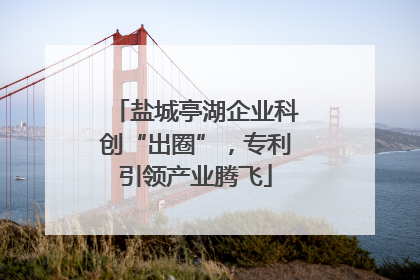盐城亭湖企业科创“出圈”，专利引领产业腾飞