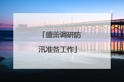 盛蕾调研防汛准备工作