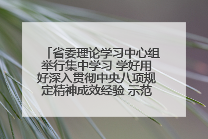 省委理论学习中心组举行集中学习 学好用好深入贯彻中央八项规定精神成效经验 示范带头持续推动全省学习教育走深走实