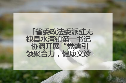 省委政法委派驻无棣县水湾镇第一书记 协调开展“党建引领聚合力，健康义诊惠乡亲”义诊活动