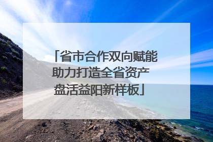 省市合作双向赋能 助力打造全省资产盘活益阳新样板