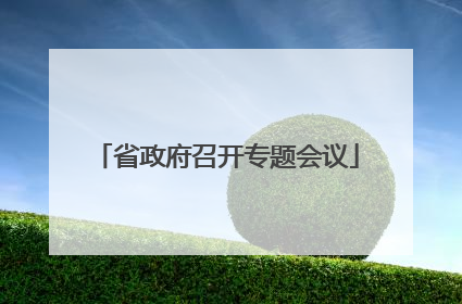 省政府召开专题会议