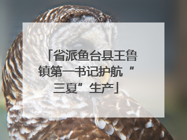 省派鱼台县王鲁镇第一书记护航“三夏”生产