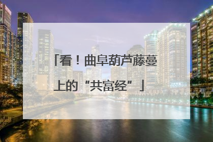 看！曲阜葫芦藤蔓上的“共富经”