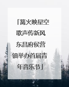 篝火映星空 歌声传新风 东昌府侯营镇举办首届青年音乐节