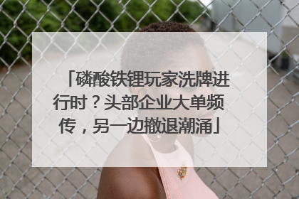 磷酸铁锂玩家洗牌进行时？头部企业大单频传，另一边撤退潮涌