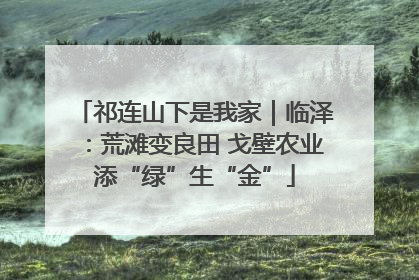 祁连山下是我家｜临泽：荒滩变良田 戈壁农业添“绿”生“金”