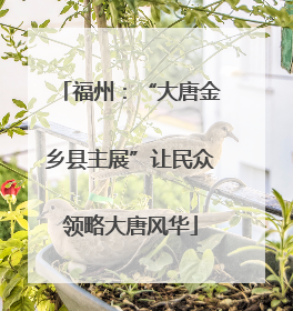 福州：“大唐金乡县主展”让民众领略大唐风华