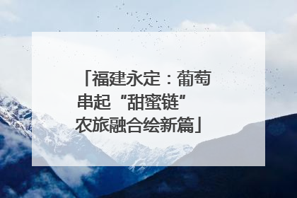 福建永定：葡萄串起“甜蜜链” 农旅融合绘新篇