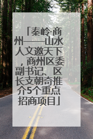 秦岭·商州——山水人文邀天下，商州区委副书记、区长支朝奇推介5个重点招商项目