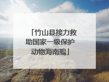 竹山县接力救助国家一级保护动物海南鳽