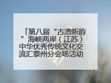 第八届“古漕新韵”海峡两岸（江苏）中华优秀传统文化交流汇泰州分会场活动成功举办