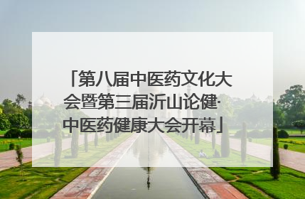 第八届中医药文化大会暨第三届沂山论健·中医药健康大会开幕
