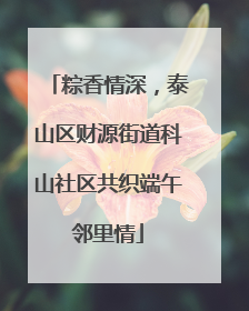 粽香情深，泰山区财源街道科山社区共织端午邻里情