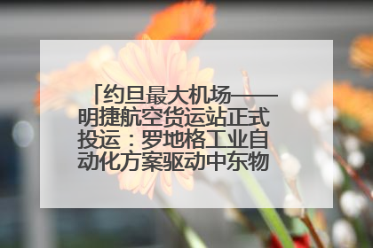 约旦最大机场——明捷航空货运站正式投运：罗地格工业自动化方案驱动中东物流未来新航向