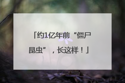 约1亿年前“僵尸昆虫”，长这样！
