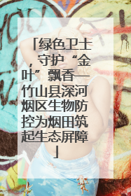 绿色卫士，守护“金叶”飘香—竹山县深河烟区生物防控为烟田筑起生态屏障
