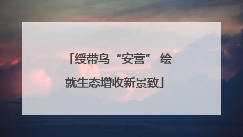 绶带鸟“安营” 绘就生态增收新景致