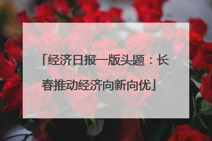 经济日报一版头题：长春推动经济向新向优