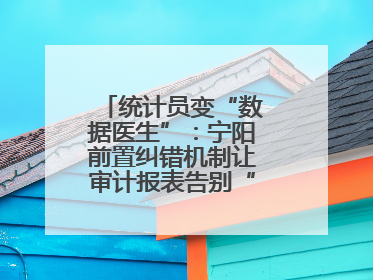 统计员变“数据医生”：宁阳前置纠错机制让审计报表告别“带病上岗”