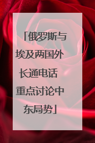 俄罗斯与埃及两国外长通电话 重点讨论中东局势