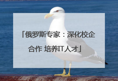 俄罗斯专家：深化校企合作 培养IT人才