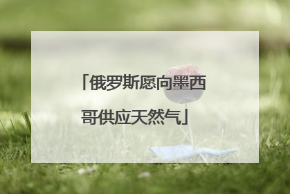 俄罗斯愿向墨西哥供应天然气