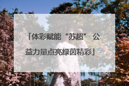 体彩赋能“苏超” 公益力量点亮绿茵精彩