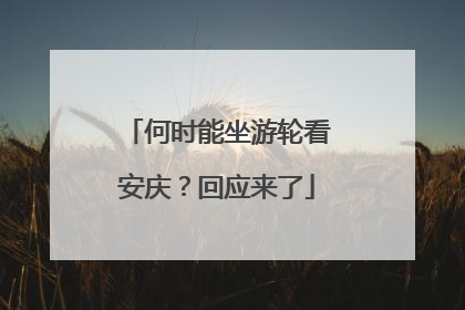 何时能坐游轮看安庆？回应来了
