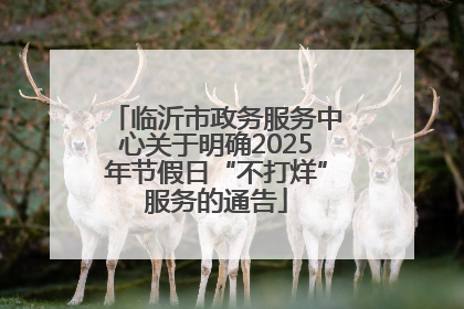 临沂市政务服务中心关于明确2025年节假日“不打烊”服务的通告