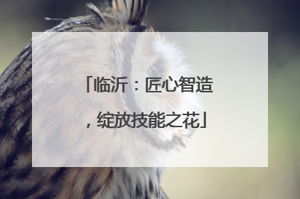 临沂：匠心智造，绽放技能之花