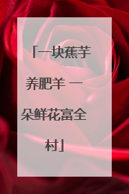 一块蕉芋养肥羊 一朵鲜花富全村