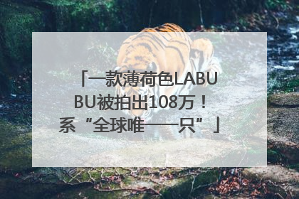 一款薄荷色LABUBU被拍出108万！系“全球唯一一只”