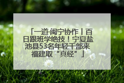 一道·闽宁协作丨百日跟班学绝技！宁夏盐池县53名年轻干部来福建取“真经”
