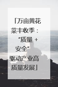 万亩黄花菜丰收季：“质量 + 安全” 驱动产业高质量发展