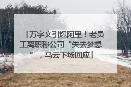 万字文引爆阿里！老员工离职称公司“失去梦想”，马云下场回应