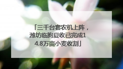 三千台套农机上阵，潍坊临朐夏收已完成14.8万亩小麦收割