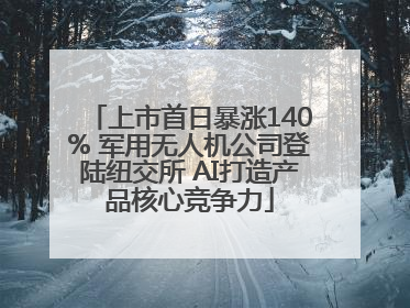 上市首日暴涨140% 军用无人机公司登陆纽交所 AI打造产品核心竞争力