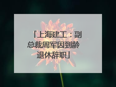 上海建工：副总裁周军因到龄退休辞职