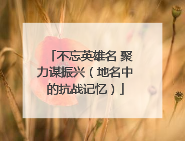 不忘英雄名 聚力谋振兴（地名中的抗战记忆）
