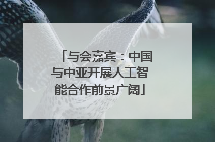 与会嘉宾：中国与中亚开展人工智能合作前景广阔