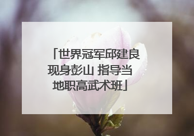 世界冠军邱建良现身彭山 指导当地职高武术班