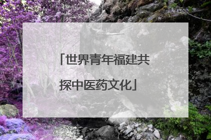 世界青年福建共探中医药文化