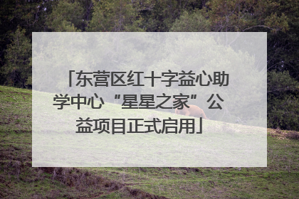 东营区红十字益心助学中心“星星之家”公益项目正式启用