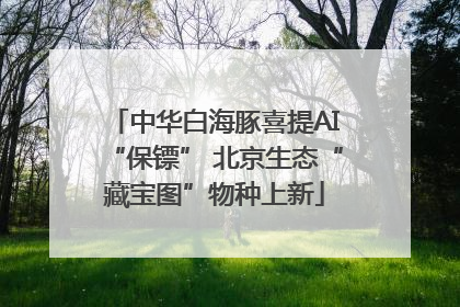 中华白海豚喜提AI“保镖” 北京生态“藏宝图”物种上新