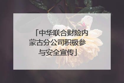 中华联合财险内蒙古分公司积极参与安全宣传