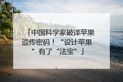 中国科学家破译苹果遗传密码！“设计苹果”有了“法宝”