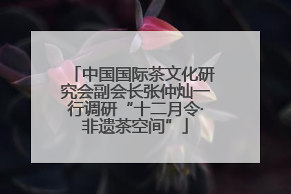 中国国际茶文化研究会副会长张仲灿一行调研“十二月令·非遗茶空间”